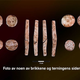 Las fichas y el dado que encontraron en el yacimiento.
Foto: University Museum of Bergen